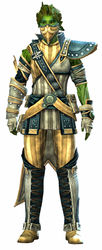 Heritage armor (medium) sylvari male front.jpg