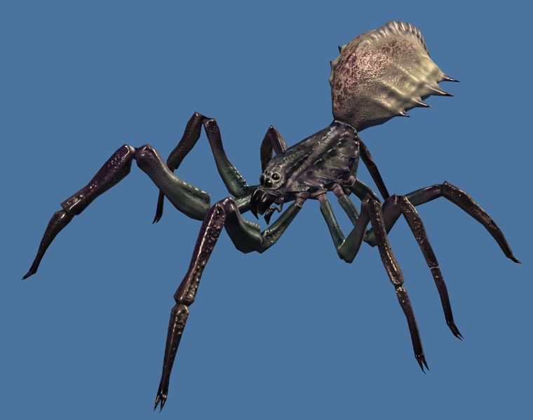 File:Mini Swamp Spider.jpg