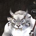 Exclusive face - charr female 1.jpg
