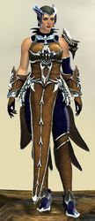 Mist Shard armor (light) norn female front.jpg