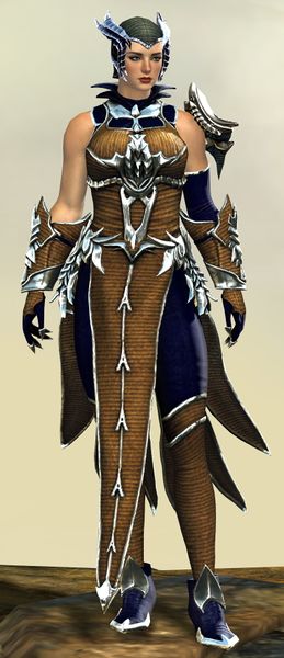 File:Mist Shard armor (light) norn female front.jpg