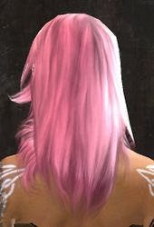 Unique norn female hair back 5.jpg