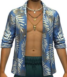 Tropical Chest male front.jpg