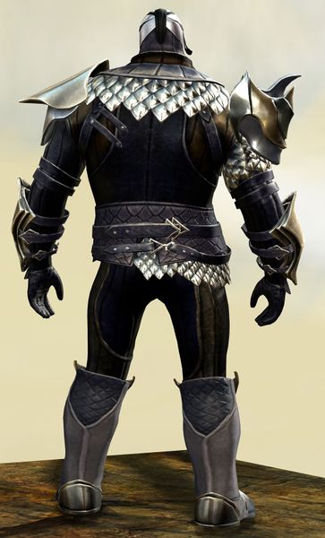 File:Elegy armor (medium) norn male back.jpg