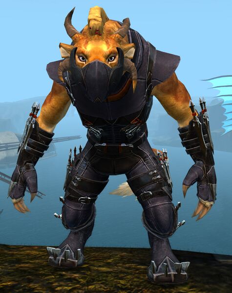File:True Assassin's Guise Outfit charr female front.jpg
