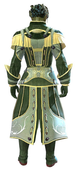 File:Apprentice armor sylvari male back.jpg