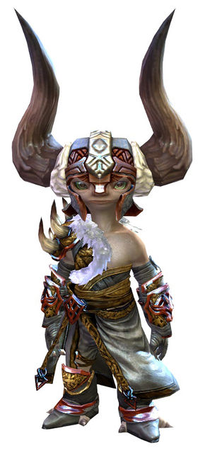 Braham's armor - Guild Wars 2 Wiki (GW2W)