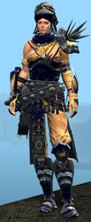 Spearmarshal's armor (heavy) norn female front.jpg