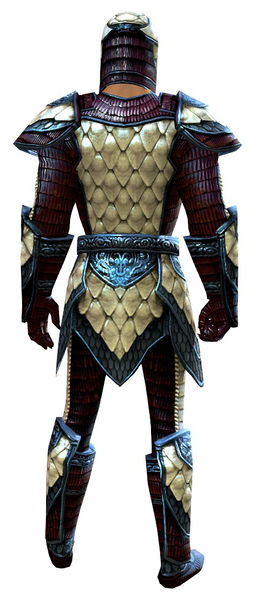 File:Tempered Scale armor human male back.jpg