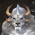 Exclusive face - charr male 1.jpg