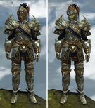 Luminous armor (heavy) sylvari male front.jpg