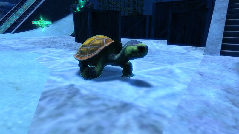 File:Siege Turtle Hatchling.jpg