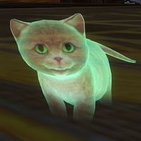 Holographic Kitten (NPC).jpg