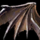 Tattered Bat Wing.png