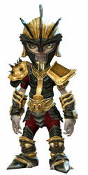 Heritage armor (heavy) asura male front.jpg
