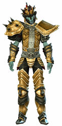 Heritage armor (heavy) sylvari male front.jpg