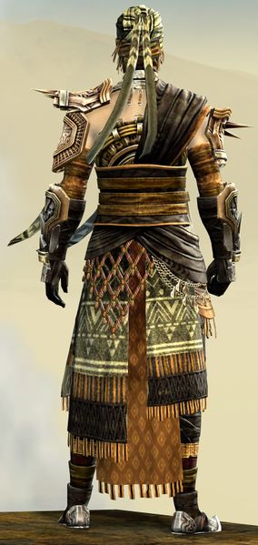 File:Spearmarshal's armor (medium) human male back.jpg