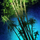 Large Bamboo Clump.png