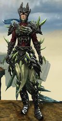 Bounty Hunter's armor (heavy) norn female front.jpg