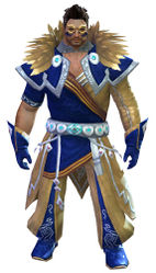 Conjurer armor norn male front.jpg