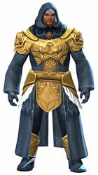 Diviner armor norn male front.jpg