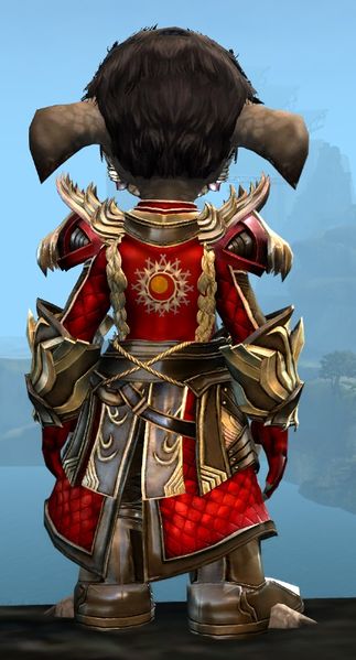 File:Ornate Guild armor (medium) asura male back.jpg
