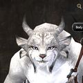 Exclusive face - charr female 2.jpg