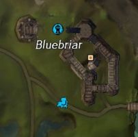 Bluebriar map.jpg