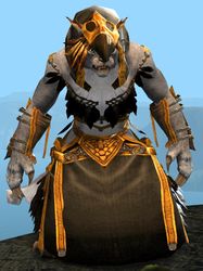 Raven Ceremonial armor charr female front.jpg