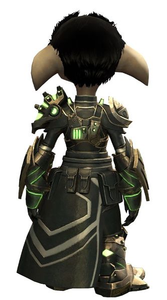 File:Taimi's Outfit asura male back.jpg