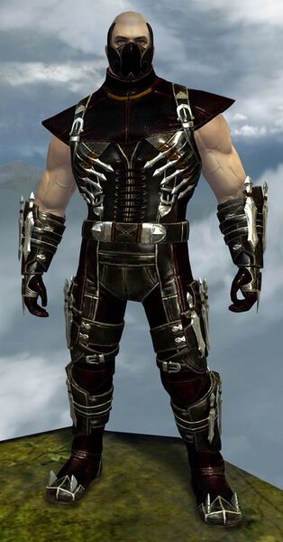 File:True Assassin's Guise Outfit norn male front.jpg
