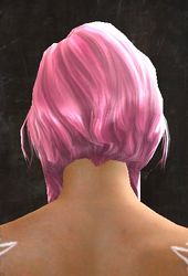 Unique norn female hair back 13.jpg