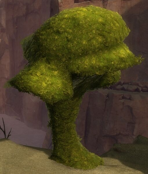 File:Head Topiary.jpg