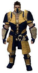 Rawhide armor norn male front.jpg