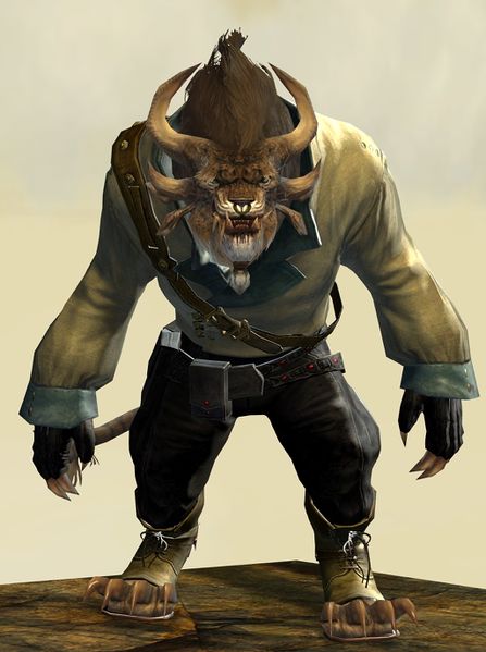 File:Casual Clothing Outfit charr male front.jpg