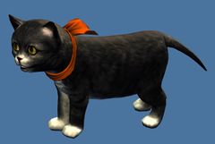 Mini Zuzu, Cat of Darkness.jpg