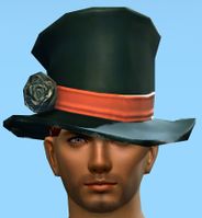 Ringmaster's Hat.jpg