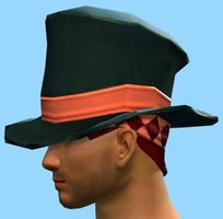 Ringmaster's Hat male side.jpg