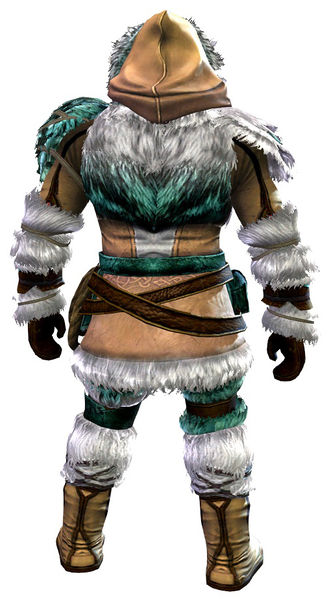 File:Arctic Explorer Outfit norn male back.jpg