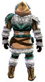 Arctic Explorer Outfit norn male back.jpg
