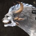 Exclusive face - charr male 3 side.jpg