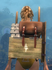 Ornate Huntsman's Backpack.jpg