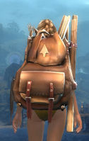 Intricate Huntsman's Backpack.jpg
