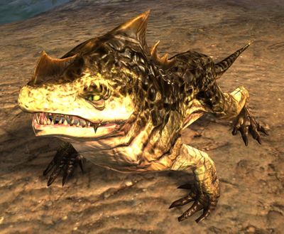 Juvenile River Drake - Guild Wars 2 Wiki (GW2W)