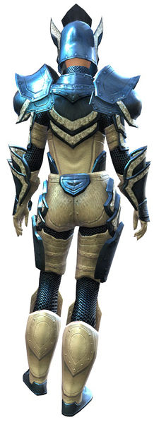 File:Heavy Plate armor norn female back.jpg