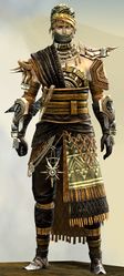 Spearmarshal's armor (medium) human male front.jpg