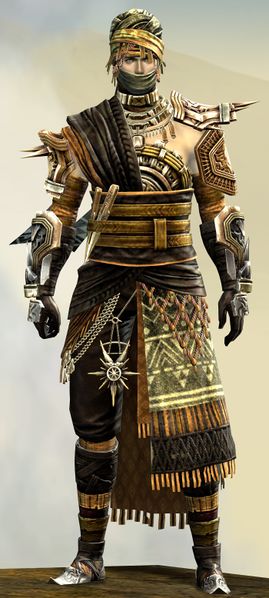 File:Spearmarshal's armor (medium) human male front.jpg