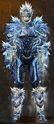 Ice Reaver armor human male front.jpg