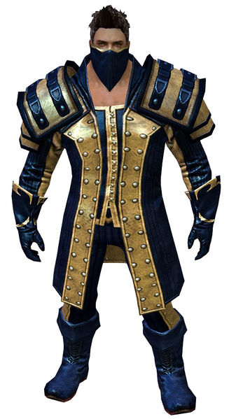File:Outlaw armor norn male front.jpg