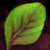 Spinach Leaf.png